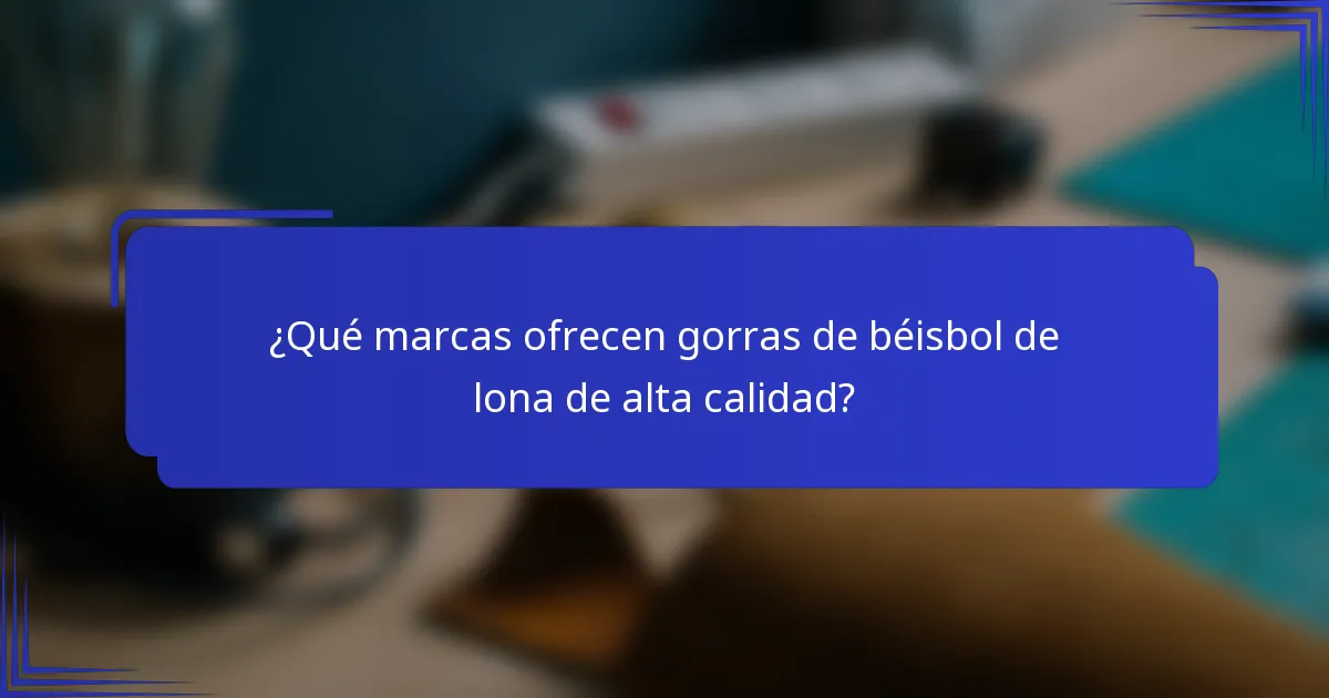 ¿Qué marcas ofrecen gorras de béisbol de lona de alta calidad?